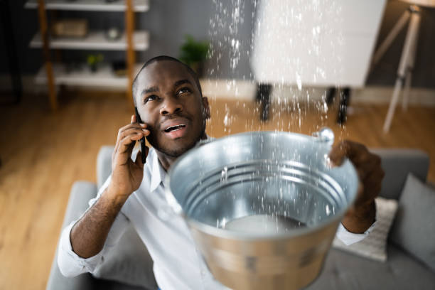Best Mold removal after water damage  in Grayson, KY