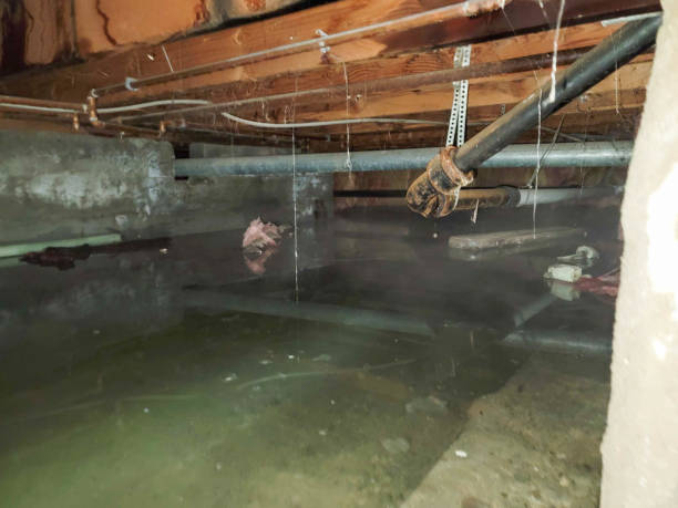Best Water damage restoration near me  in Grayson, KY