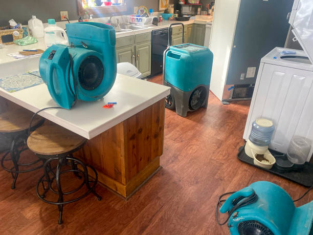 Best Commercial water damage restoration  in Grayson, KY
