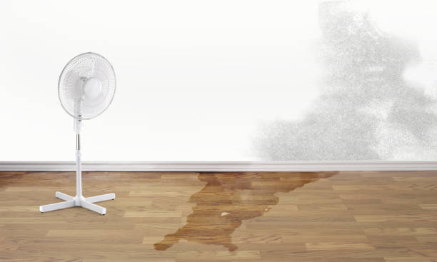 Best Residential water damage restoration  in Grayson, KY