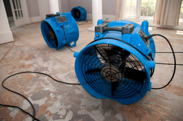Best Flood restoration services  in Grayson, KY