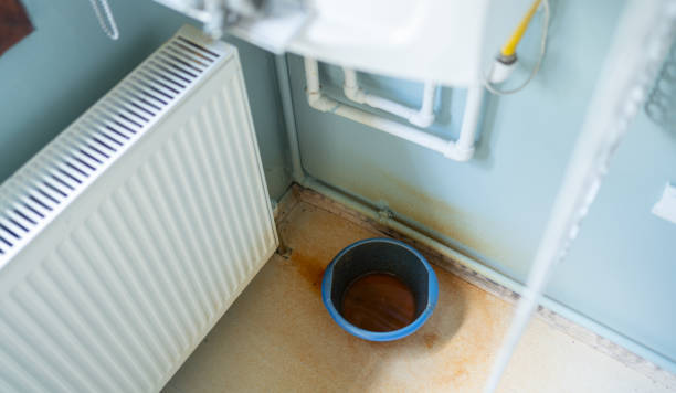 Best Ceiling water damage repair  in Grayson, KY
