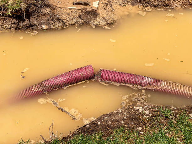 Best Local water damage restoration  in Grayson, KY